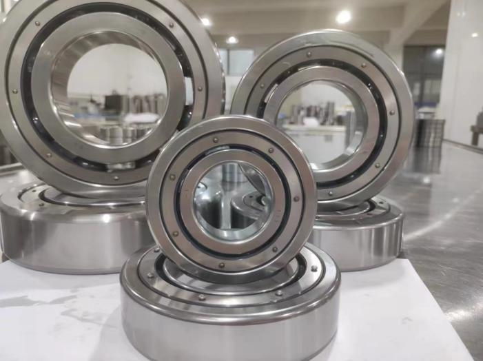 Stainless steel slewing bearing